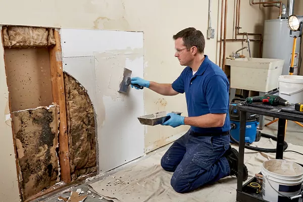 Mold and Drywall Repair Cleburne