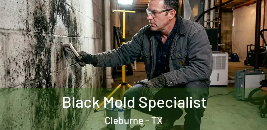  Black Mold Specialist Cleburne - TX