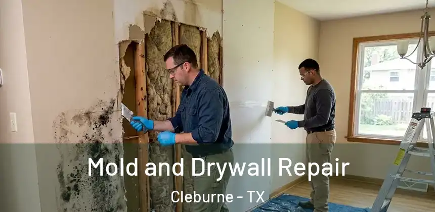  Mold and Drywall Repair Cleburne - TX