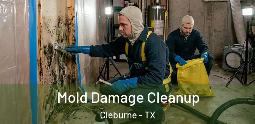  Mold Damage Cleanup Cleburne - TX