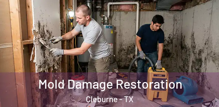  Mold Damage Restoration Cleburne - TX