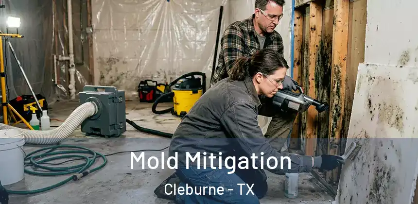  Mold Mitigation Cleburne - TX