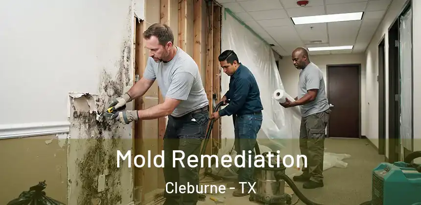  Mold Remediation Cleburne - TX