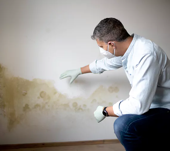 Mold Removal Service in Cleburne, TX