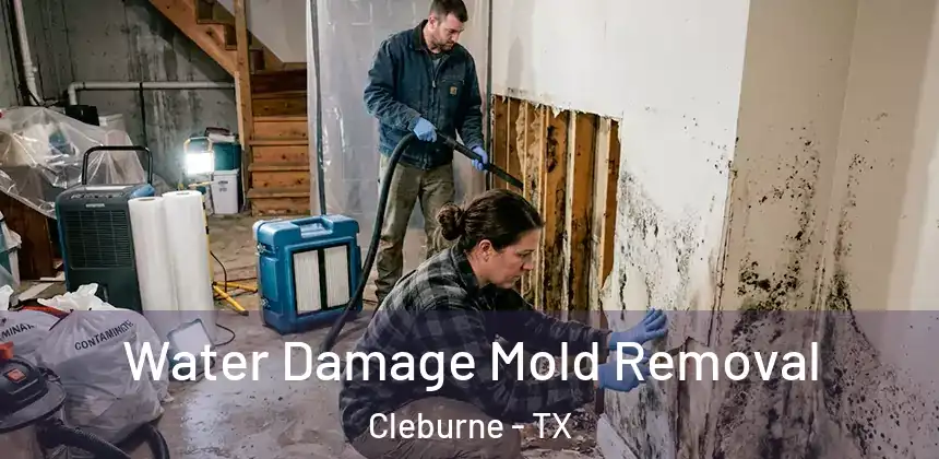 Water Damage Mold Removal Cleburne - TX